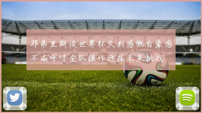 邓弗里斯谈世界杯失利感慨自豪感不减呼吁全队振作迎接未来挑战